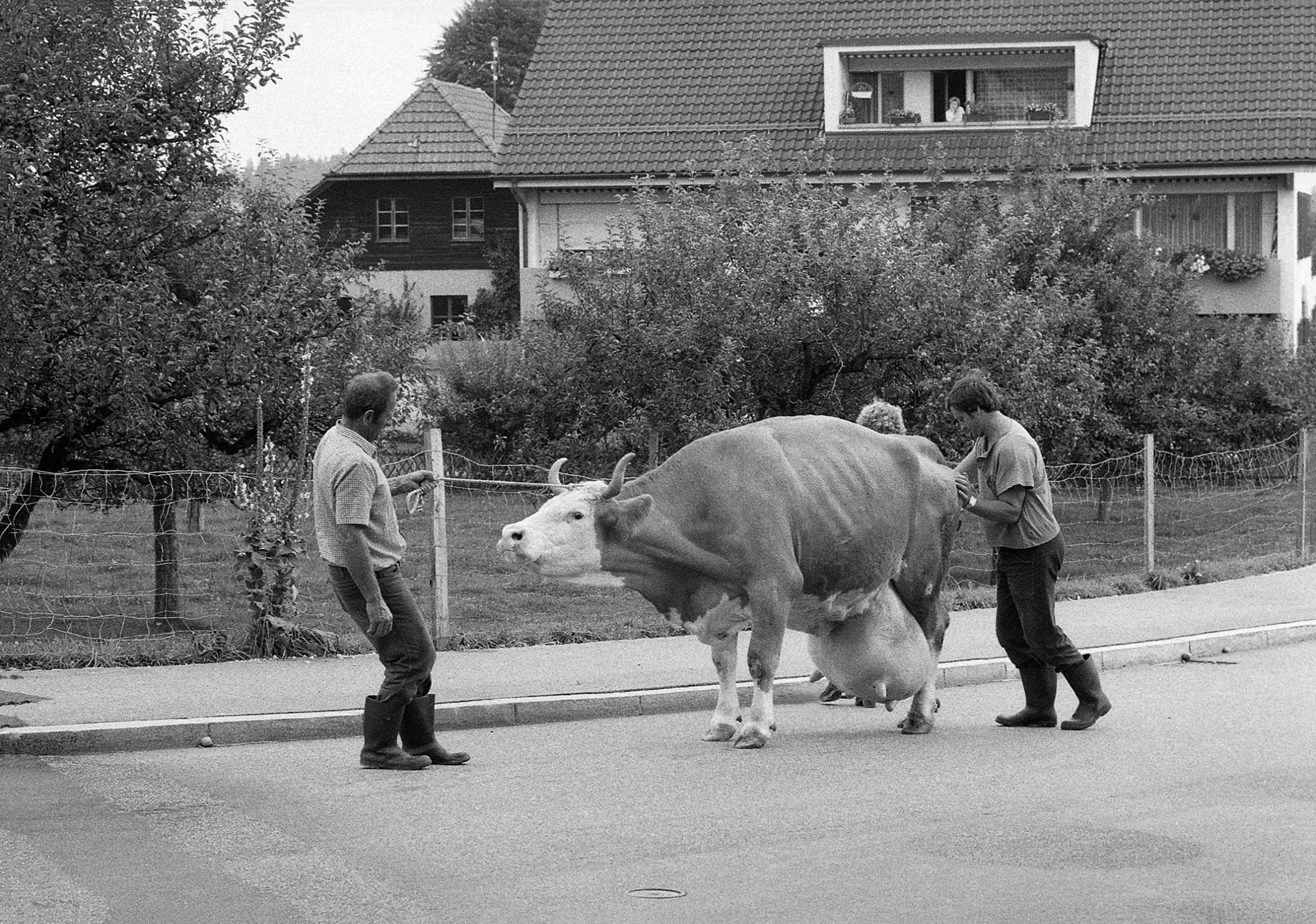 Zwischen Folklore und Schweizer Traditionen, 11