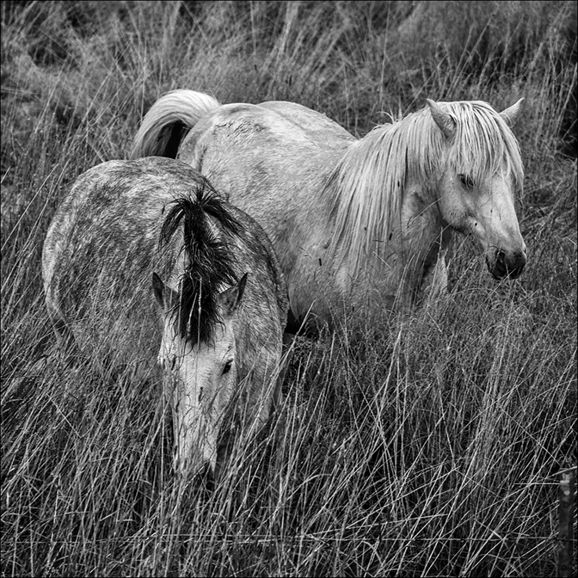 Iceland, 7