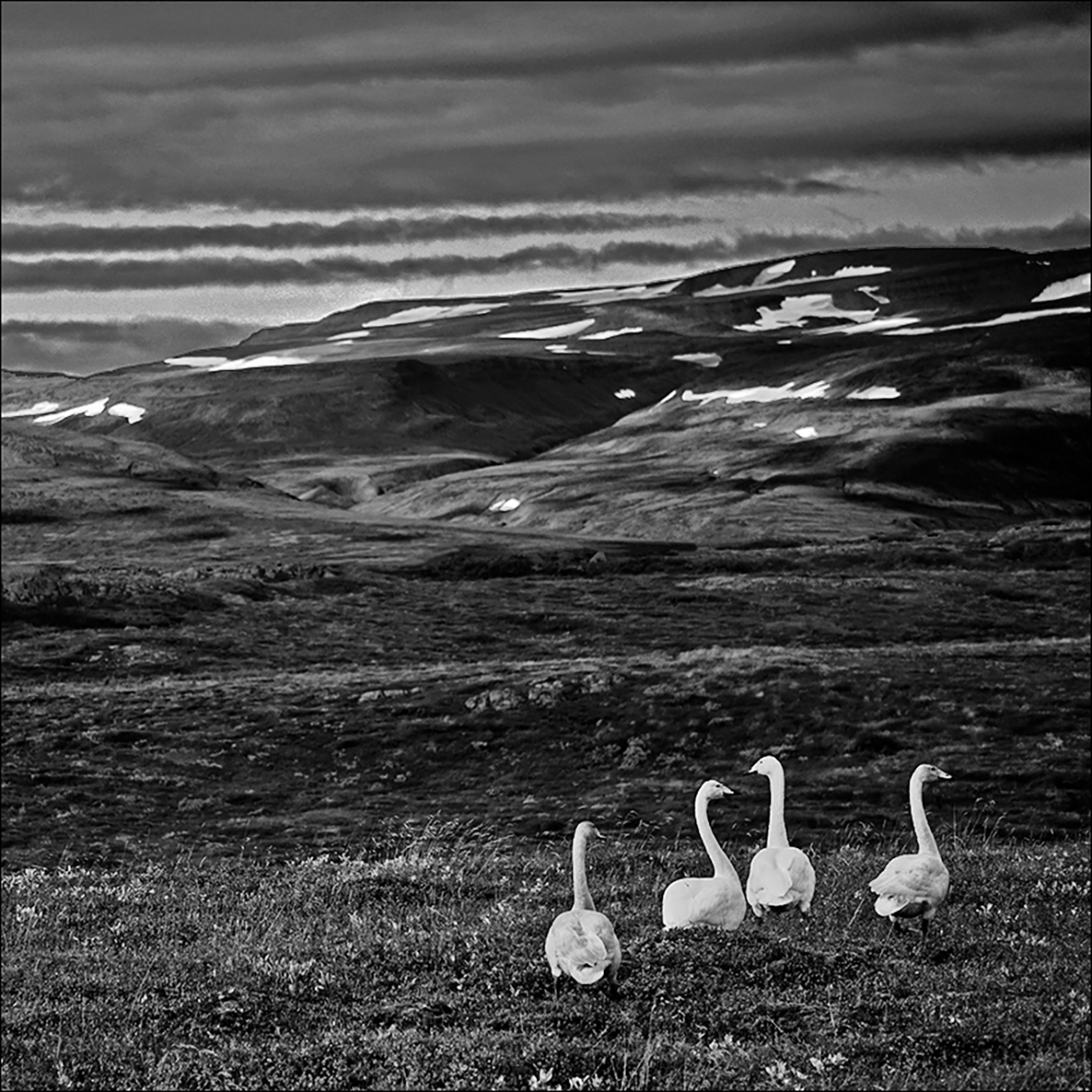 Iceland, 8