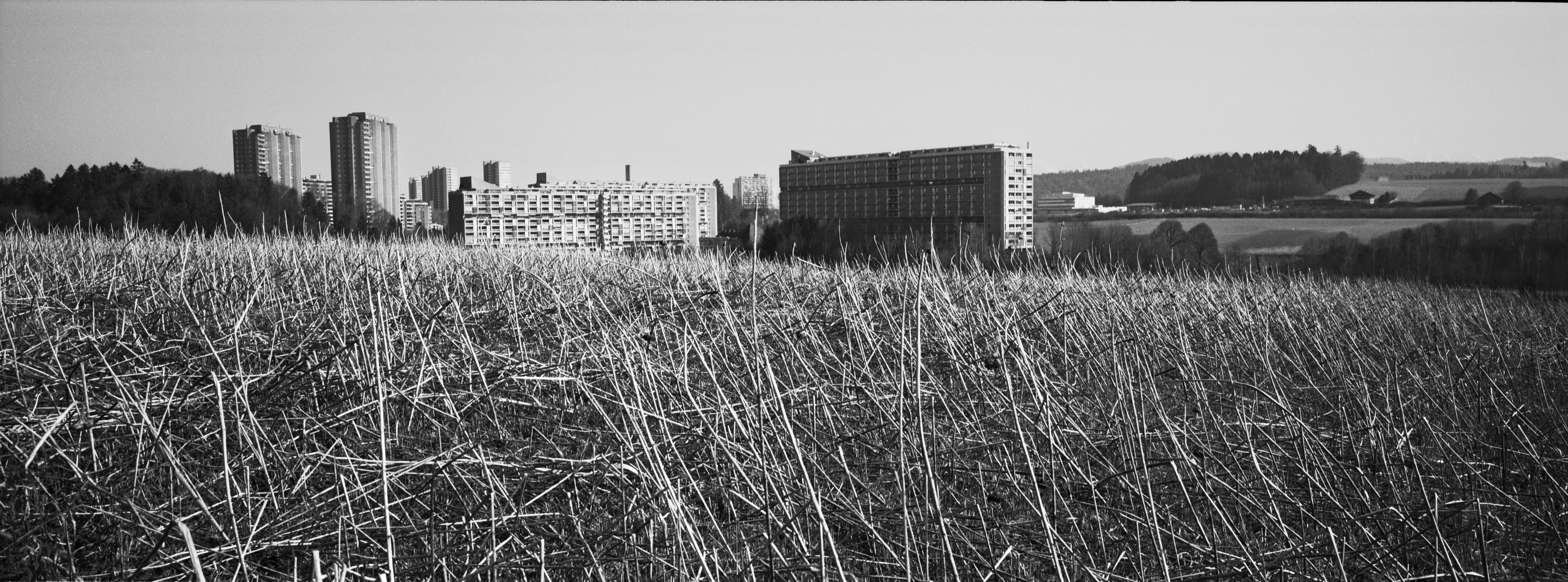 Panorama, 7