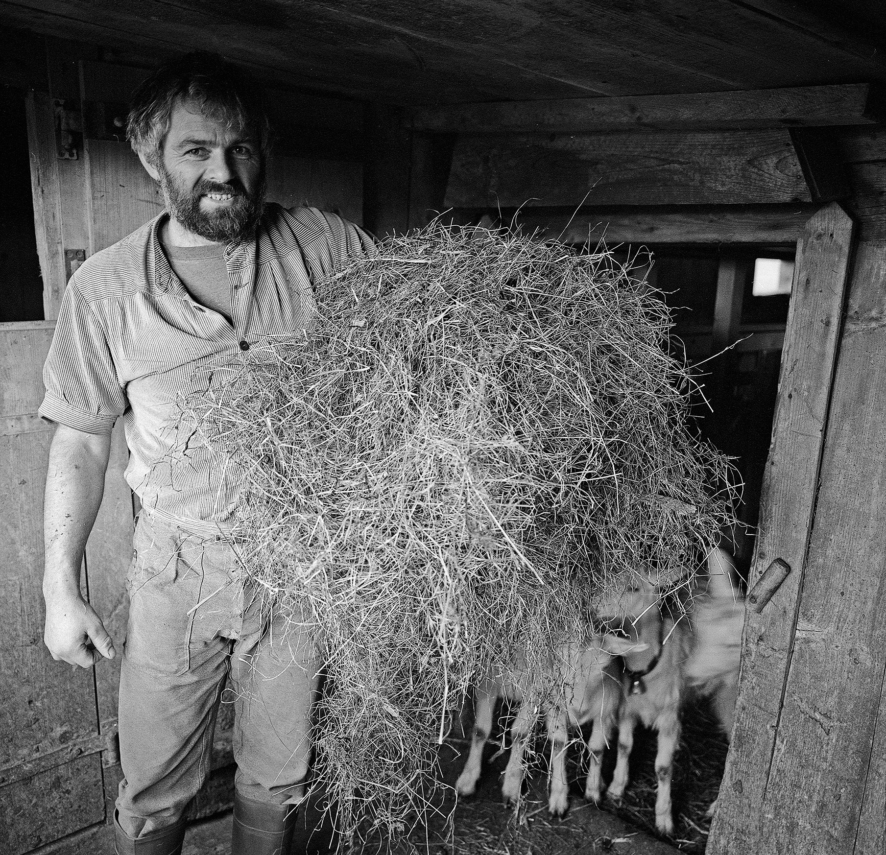 Portraits from Switzerland, 7